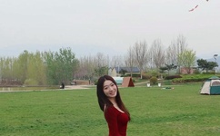 9612黄桃网站进入页面导航